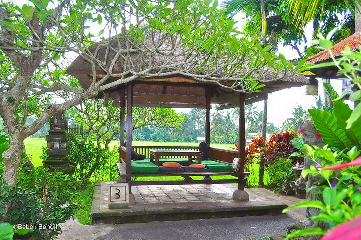 Ubud Private Tour with Lunch at Bebek Bengil Restaurant Image