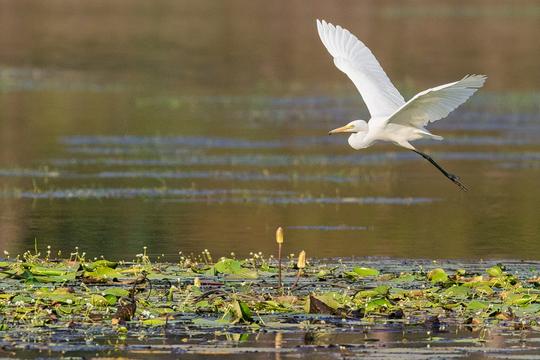 Dandeli Family Escape with FREE Visit to Kavala Caves Image