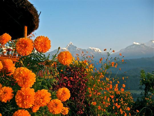 Annapurna Base Camp Trek Image
