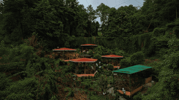 Sidekeong Tulku Bird Park, Pelling
