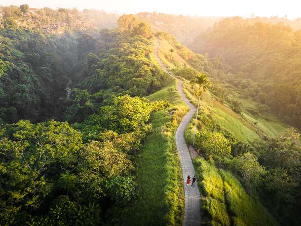 Pass through a scenic trail while taking Campuhan Ridge Walk 