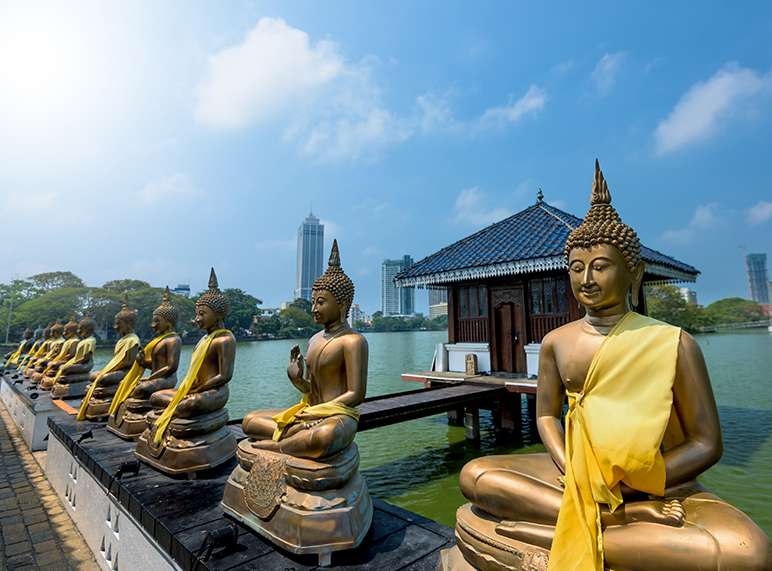 Cordelia Cruise | Chennai to Colombo Image