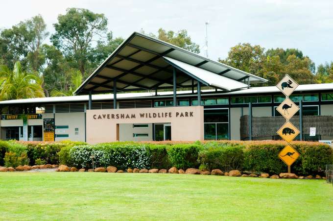 See the unique wildlife of Australia’s tropical North East at Caversham Wildlife Park 