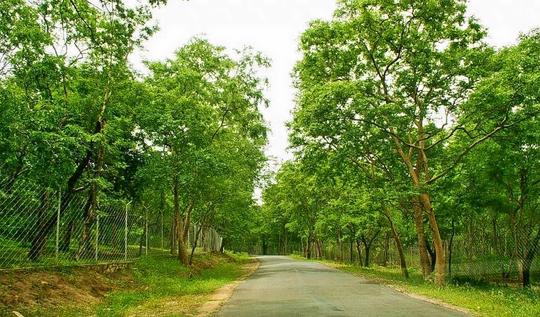 Munnar To Marayoor Sightseeing Tour Image