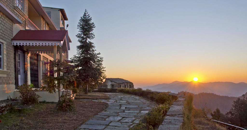 Tree of Life Binsar Image