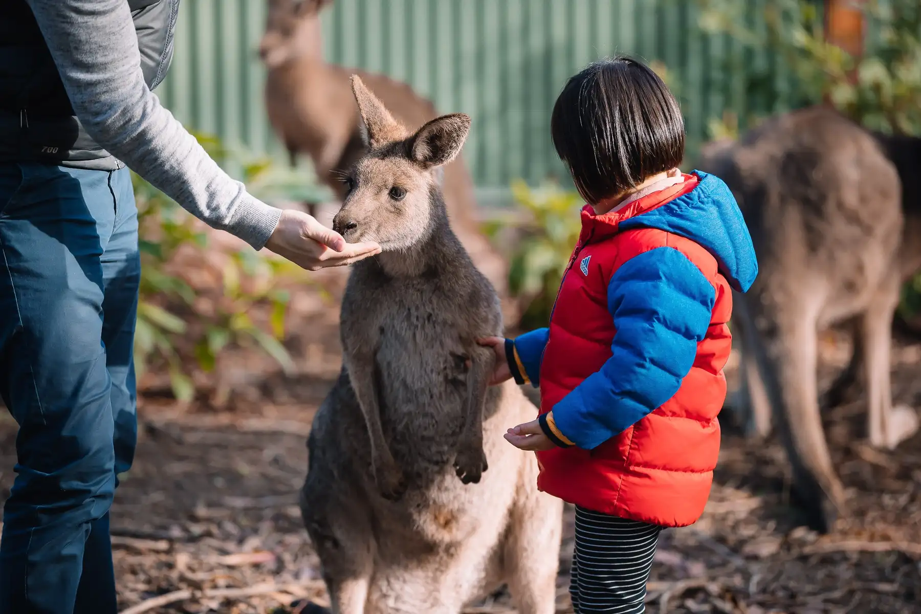 Gumbuya World Tickets Image