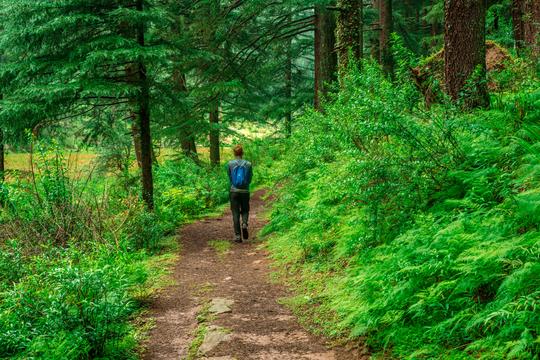 Sainj Valley Trek Image