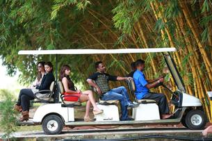 Gzd71fay8cyngdj05chjuza5i5jt 01