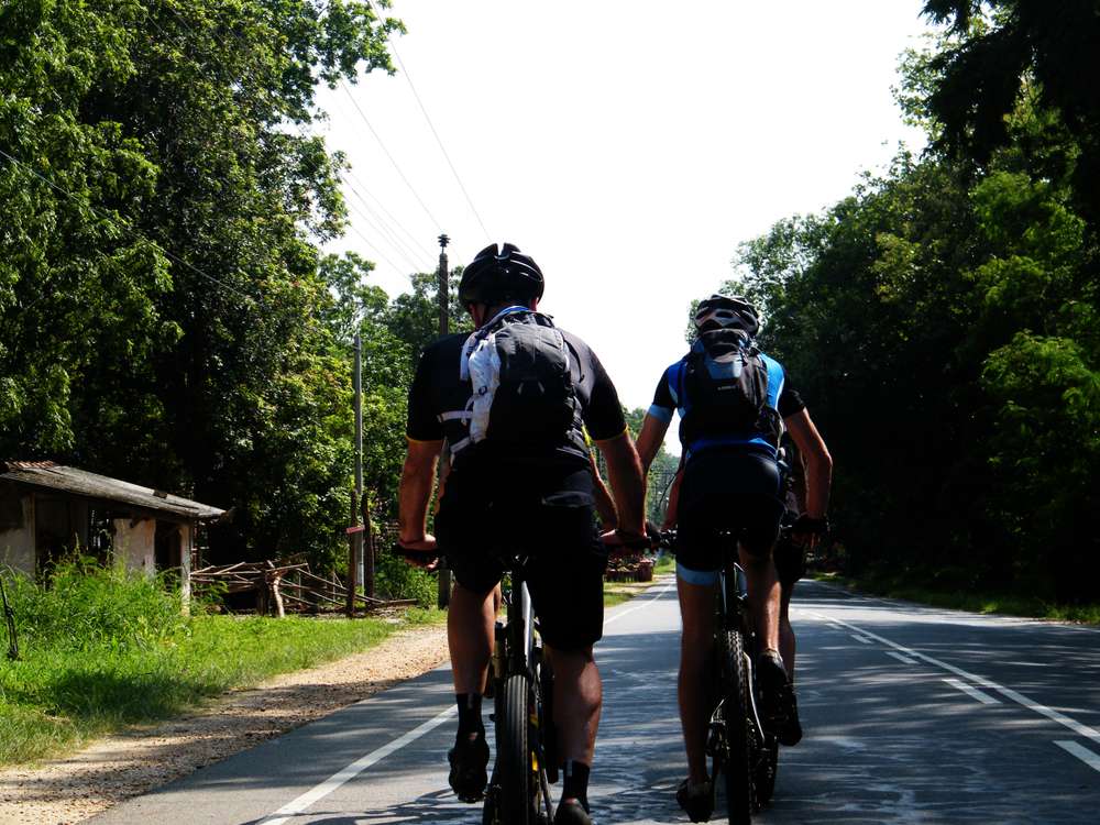 Mountain Biking In Dandeli Jungle Image