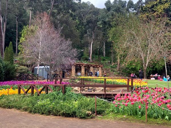 Araluen Botanic Park