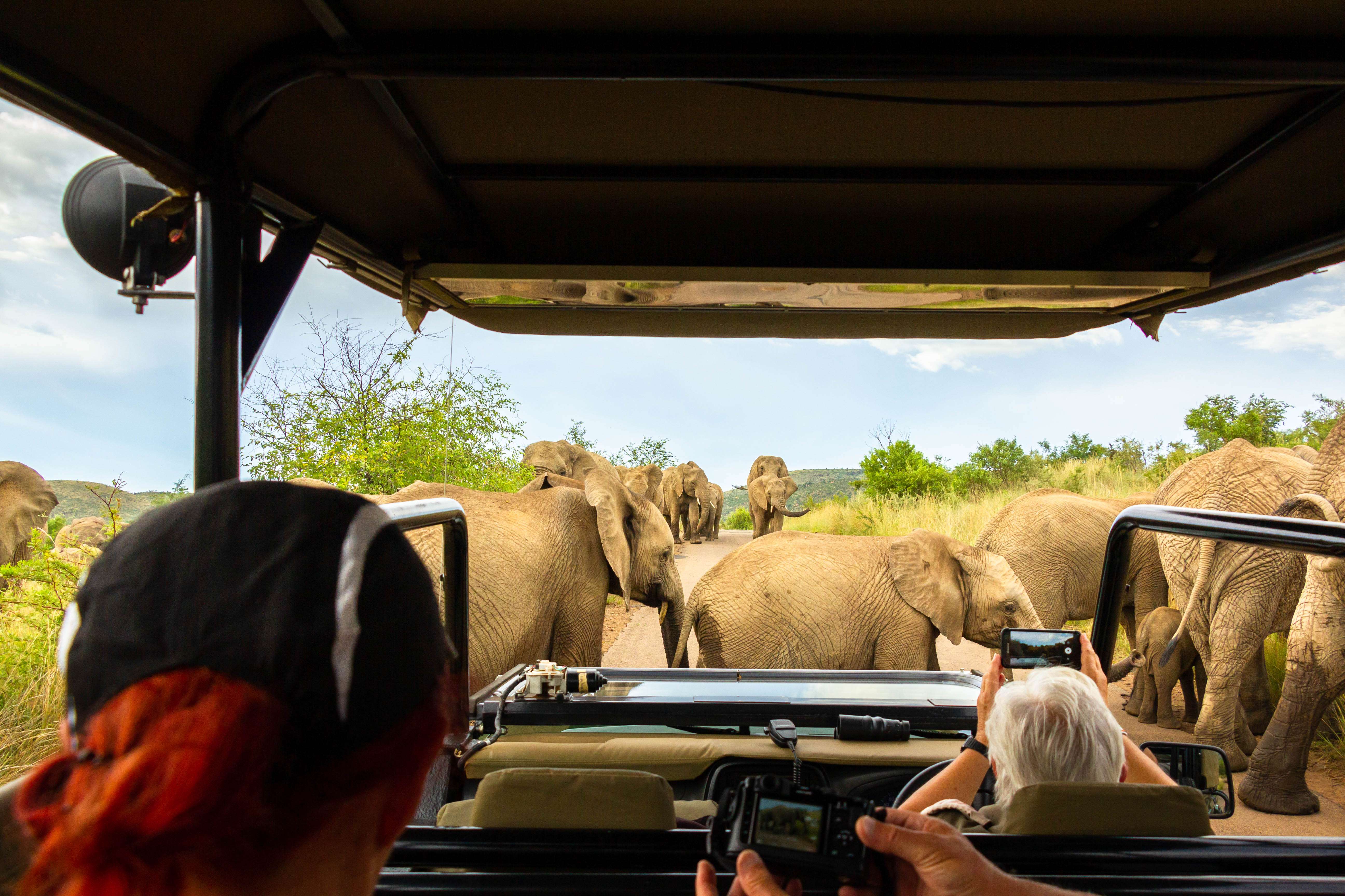 Pilanesberg National Park, South Africa