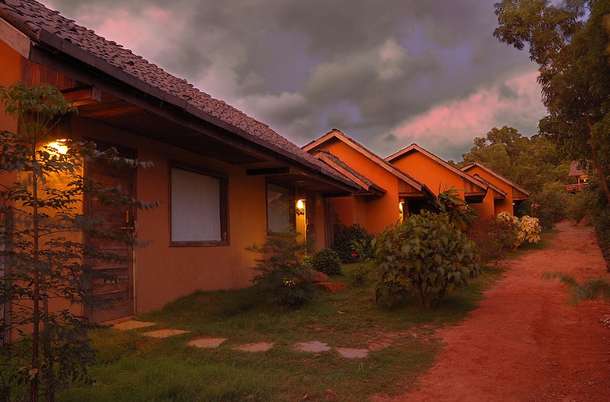 H1y5yjnzw00zlsy6ffotzduyjt21 wildernest%20thumb