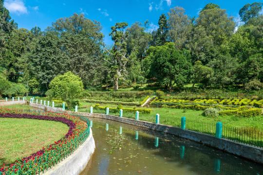 Coonoor Sightseeing Tour Image