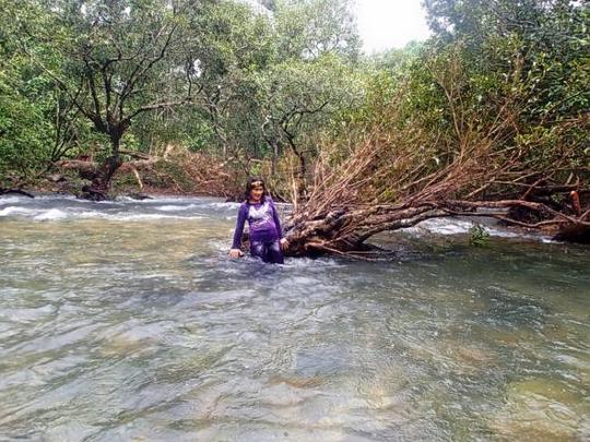 Trek To Todo Waterfalls In Goa Image