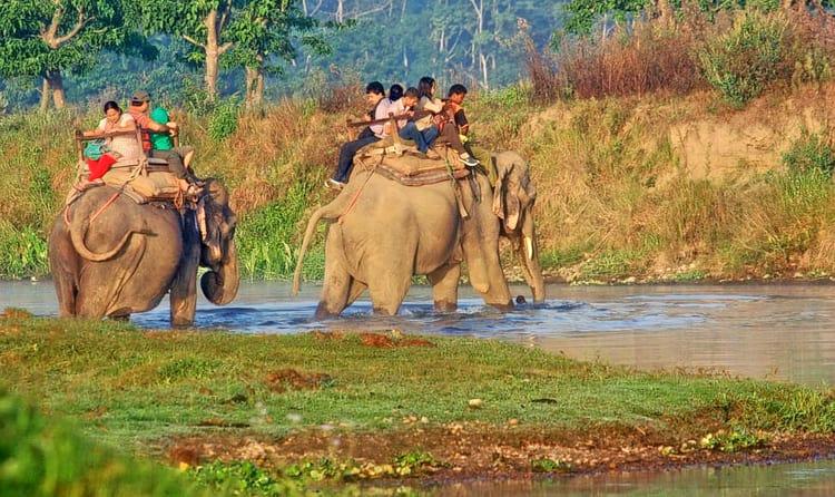Elephant Safari