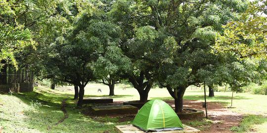 Yelagiri Adventure Camp Image