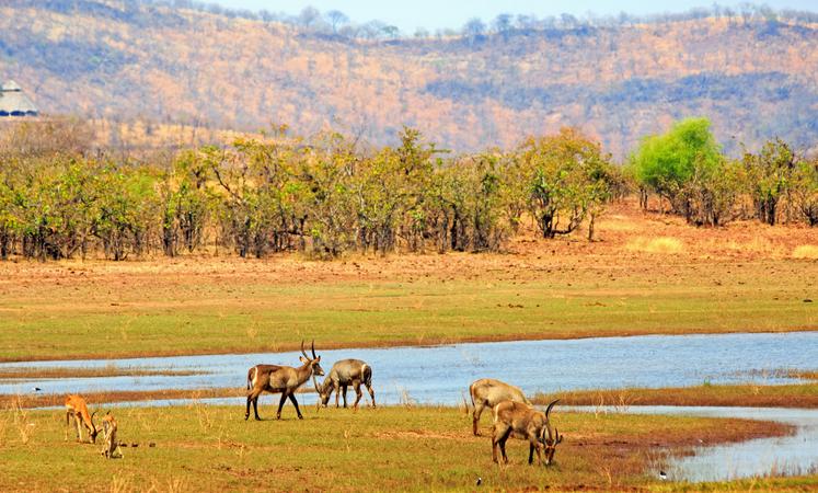 Matusadona National Park