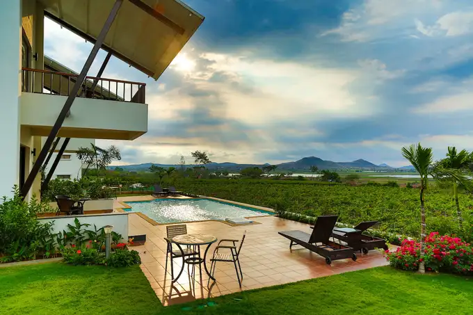 View of the vineyard from the property