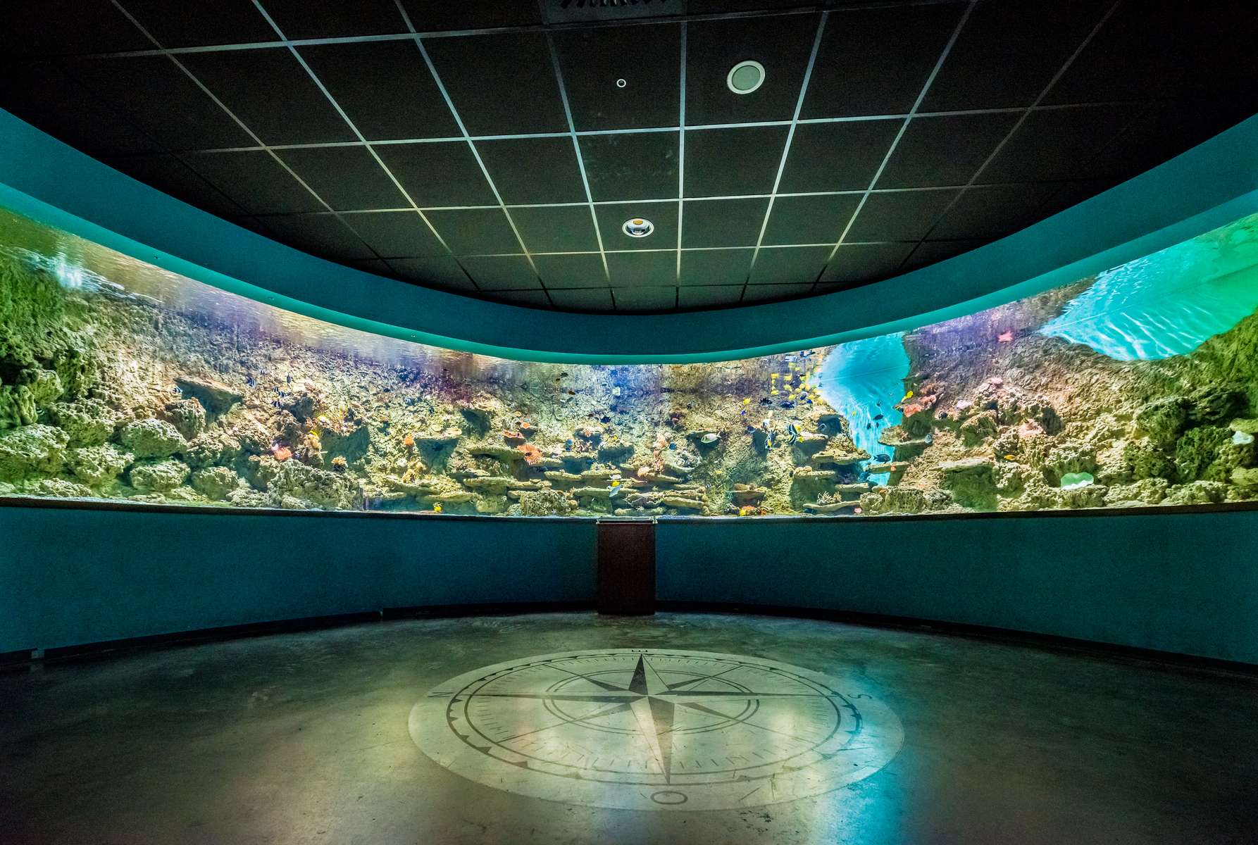 Seville Aquarium Tickets Image