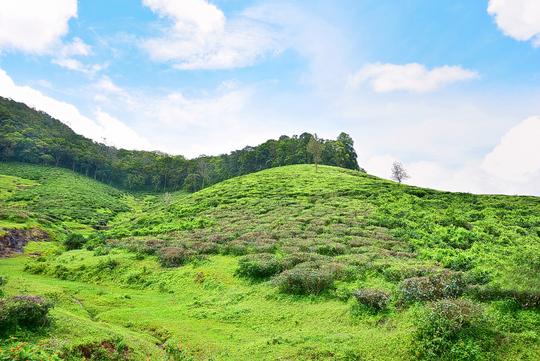 Gavi Tour Package Image