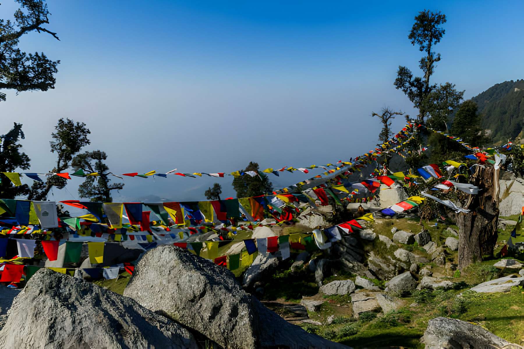 Triund Trek Image
