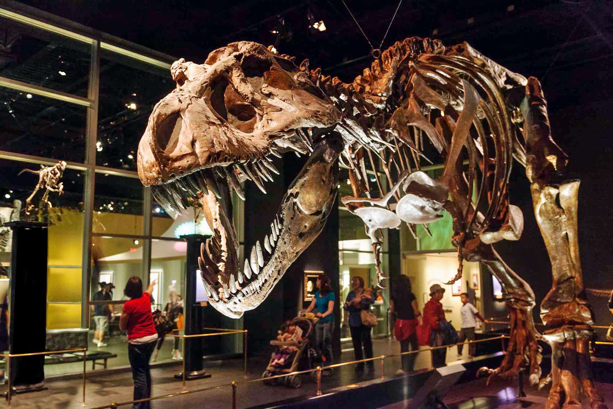 10 Days Western Canada Self Drive Tour