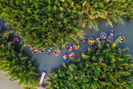 Half Day Cam Thanh Basket Boat Trip Image