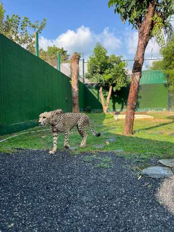 Haebhtcq9xg1sazhd3zk28khj348 2024 03 18