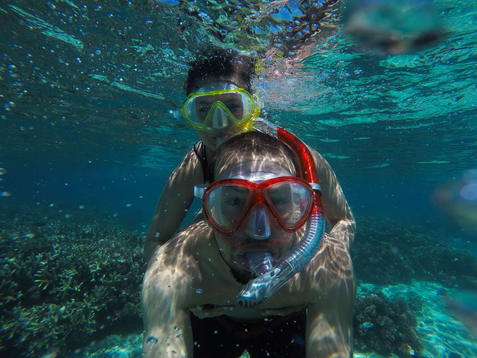 New Zealand and Fiji Honeymoon Package From India Image