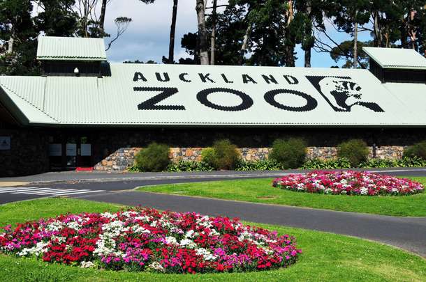 Visit Auckland Zoo and encounter over 130 fascinating animal species
