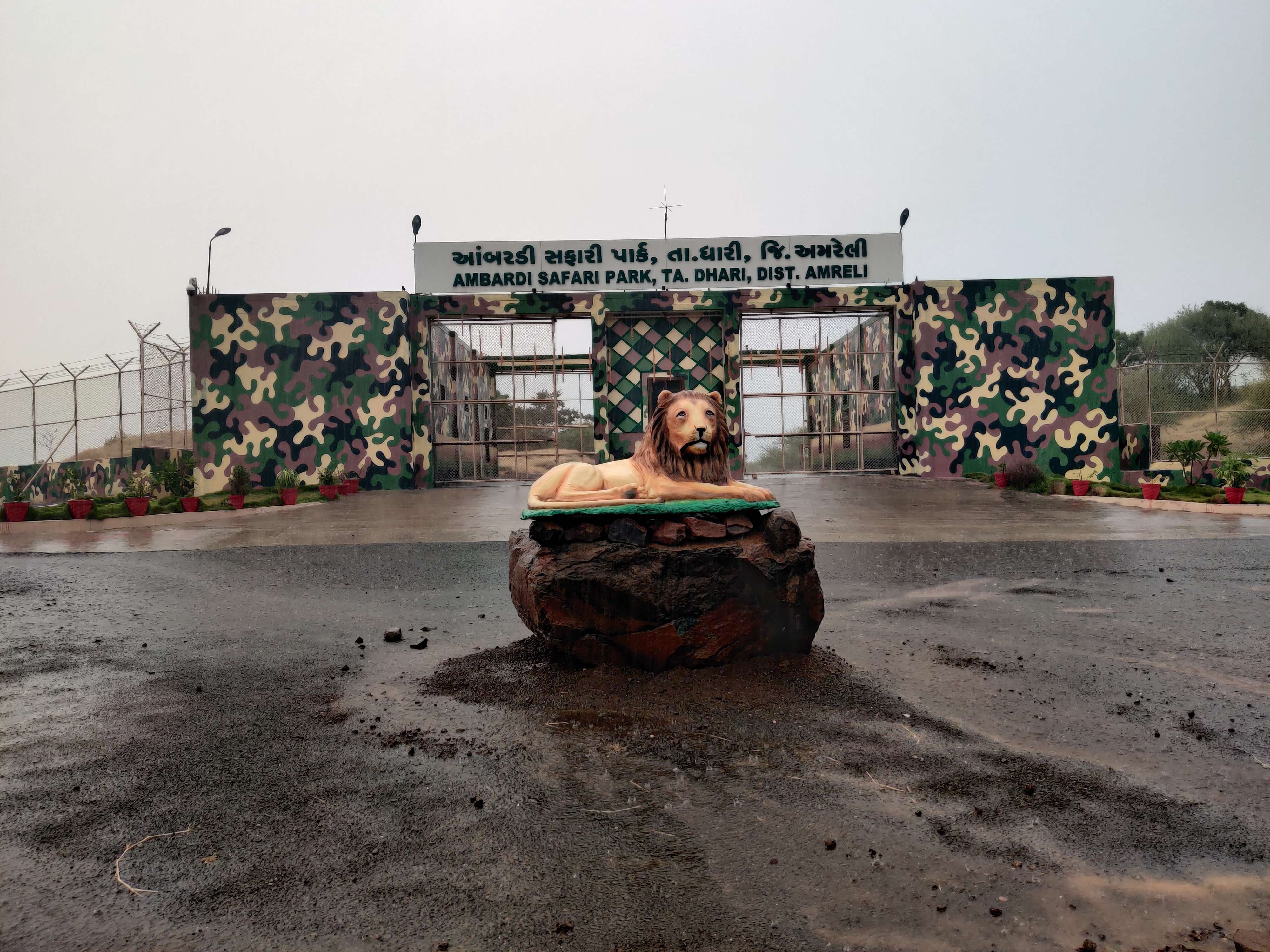 Visit Ambardi Safari Park in Gujarat