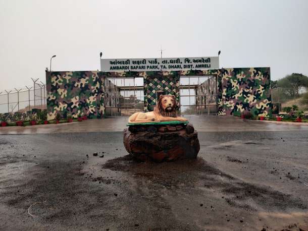 Visit Ambardi Safari Park in Gujarat