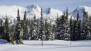 Hgib52sonea7av5f6a0qhoc4avmt gulmarg%20biosphere%20reserve%20(1)