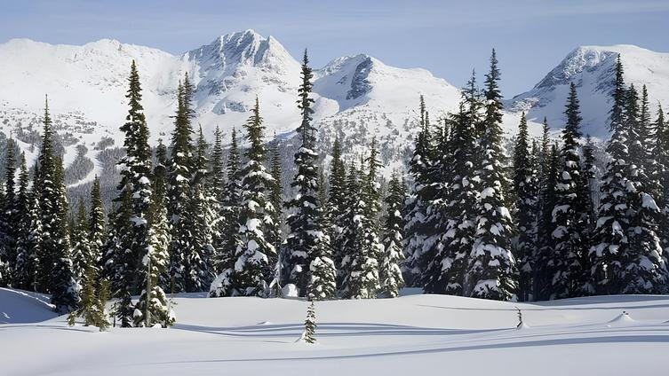 Gulmarg Biosphere Reserve