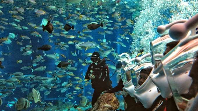 Enjoy the wonders of the sea by foot with a sea walker experience