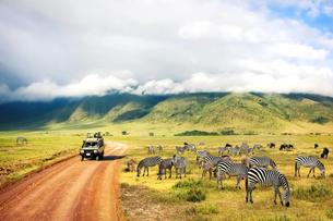 Game Drive, Ngorongoro Crater, Kenya