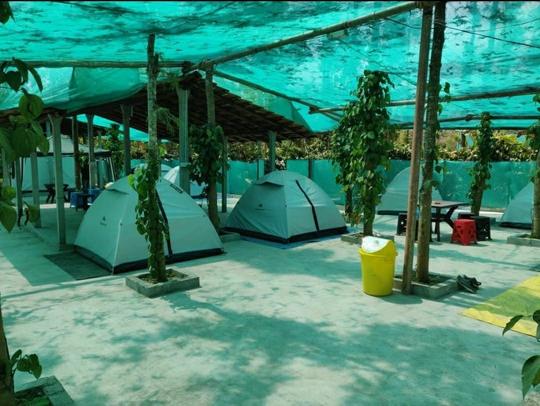 Sakleshpur Camping Experience Image