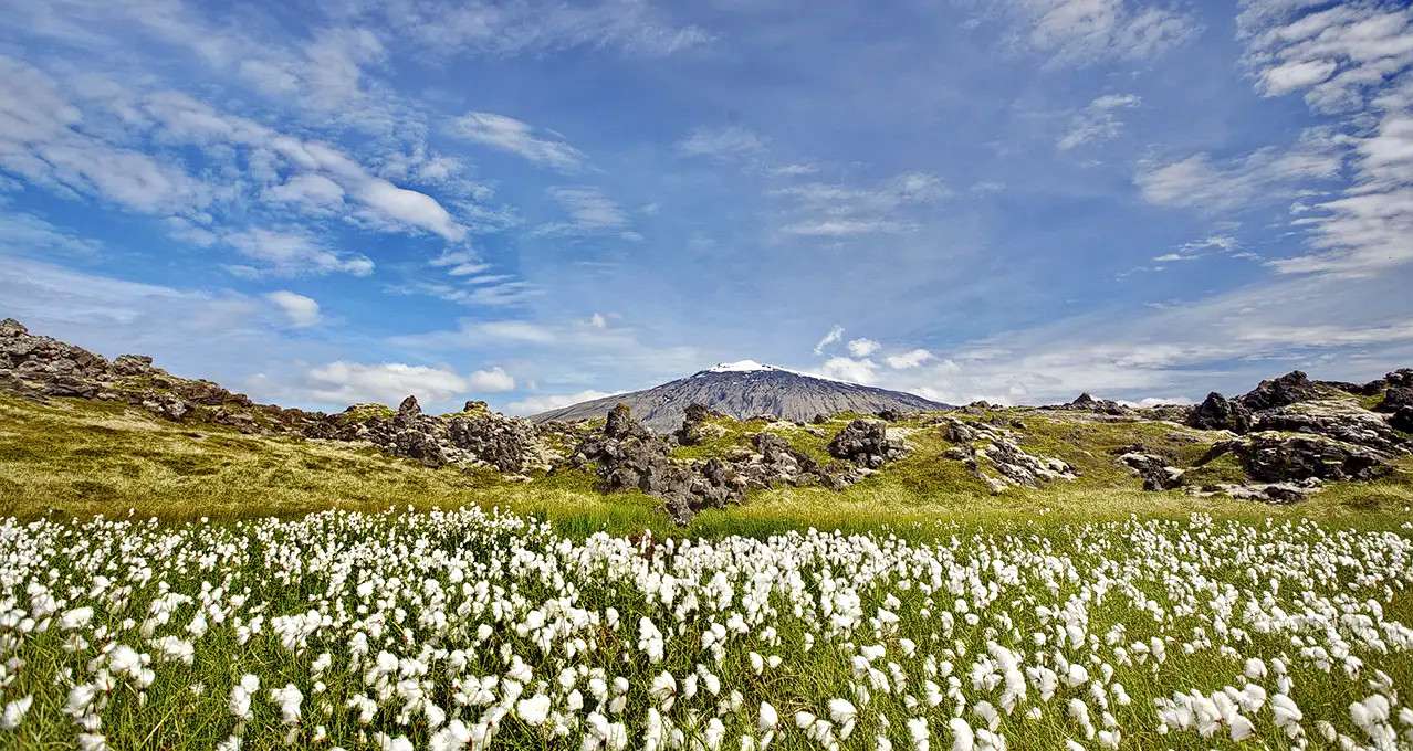 Snfellsnes Tour From Reykjavik