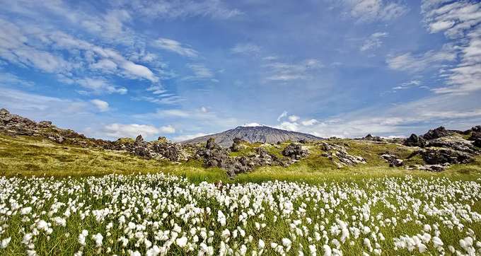 Snfellsnes Tour From Reykjavik