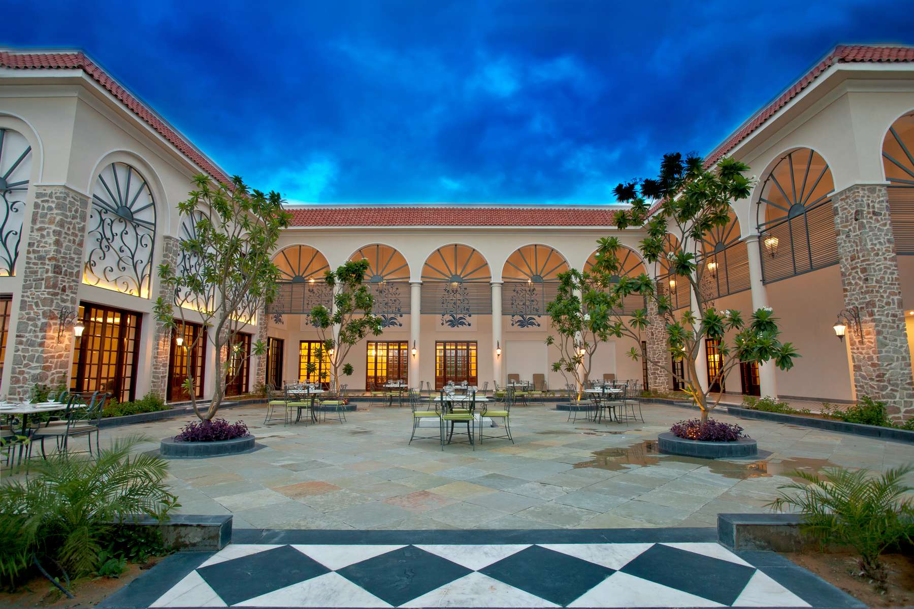 Tree of Life, Ranthambore Image
