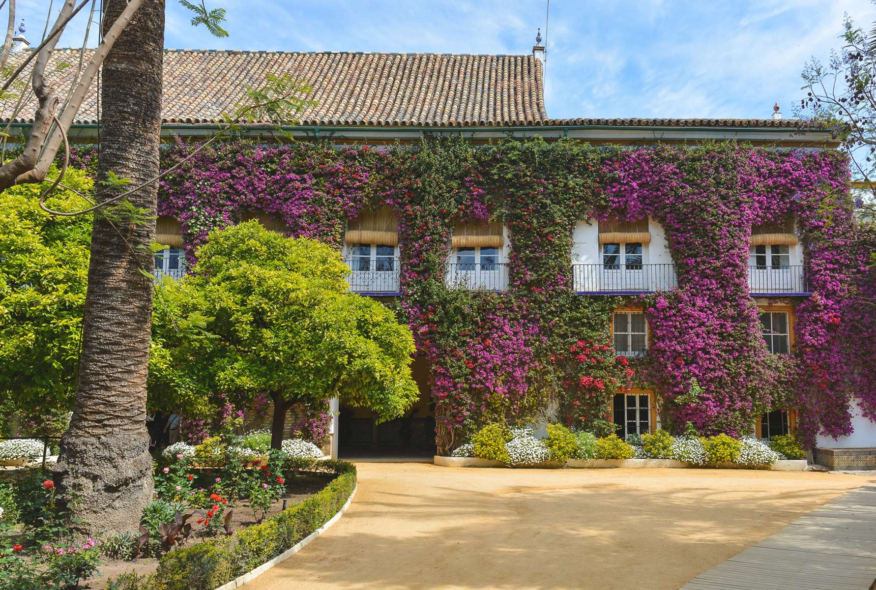 Palacio de las Duenas Tickets Image