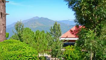 Hjy18p7ondcd7n2lwti3r2gk50ml 1548848369 fagu