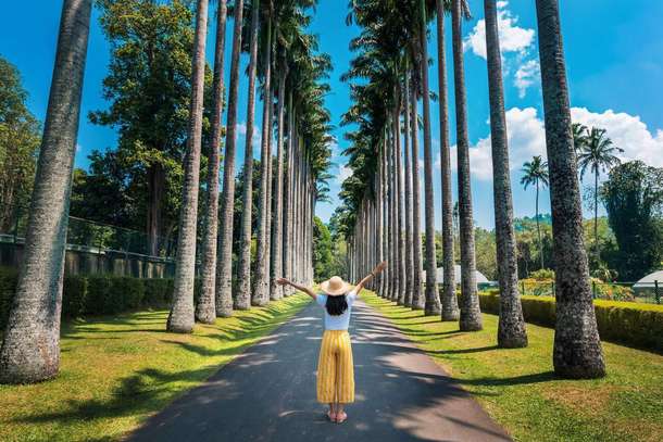 Girl at the stunning Royal Palm Avenue at the Royal Botanical Garden
