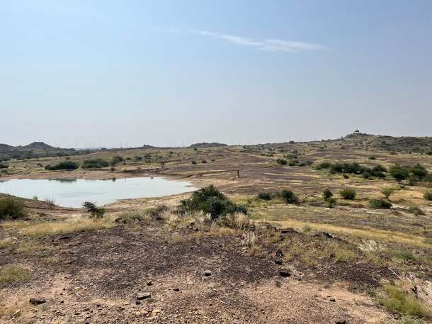 Akal Wood Fossil Park Tour, Jaisalmer