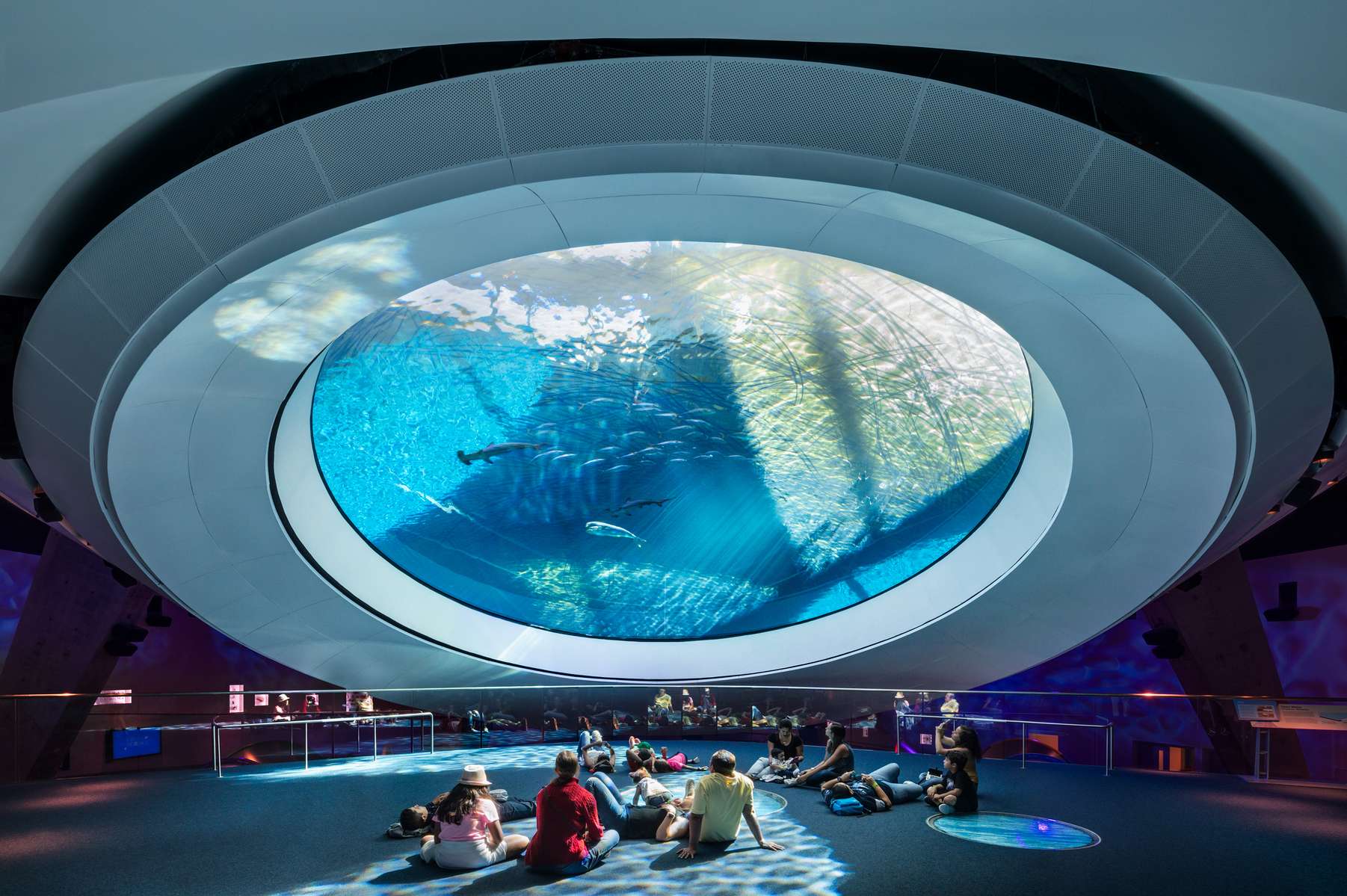 Phillip and Patricia Frost Museum of Science, Miami Image