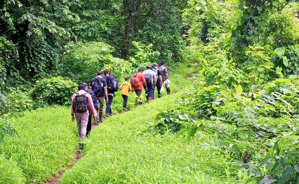 Hkyevwyof8weqn43xn91gncifwdh 1586619676 1469797639 walking a trail at national park.jpg