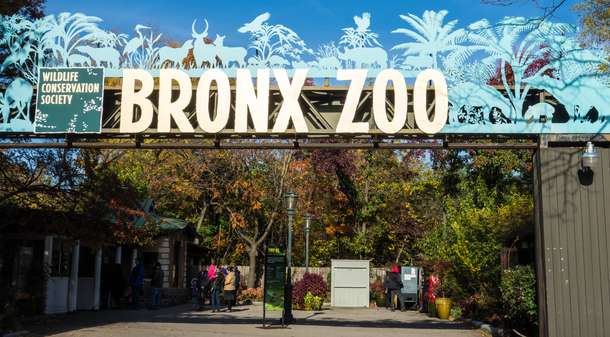 Bronx Zoo Tickets, New York
