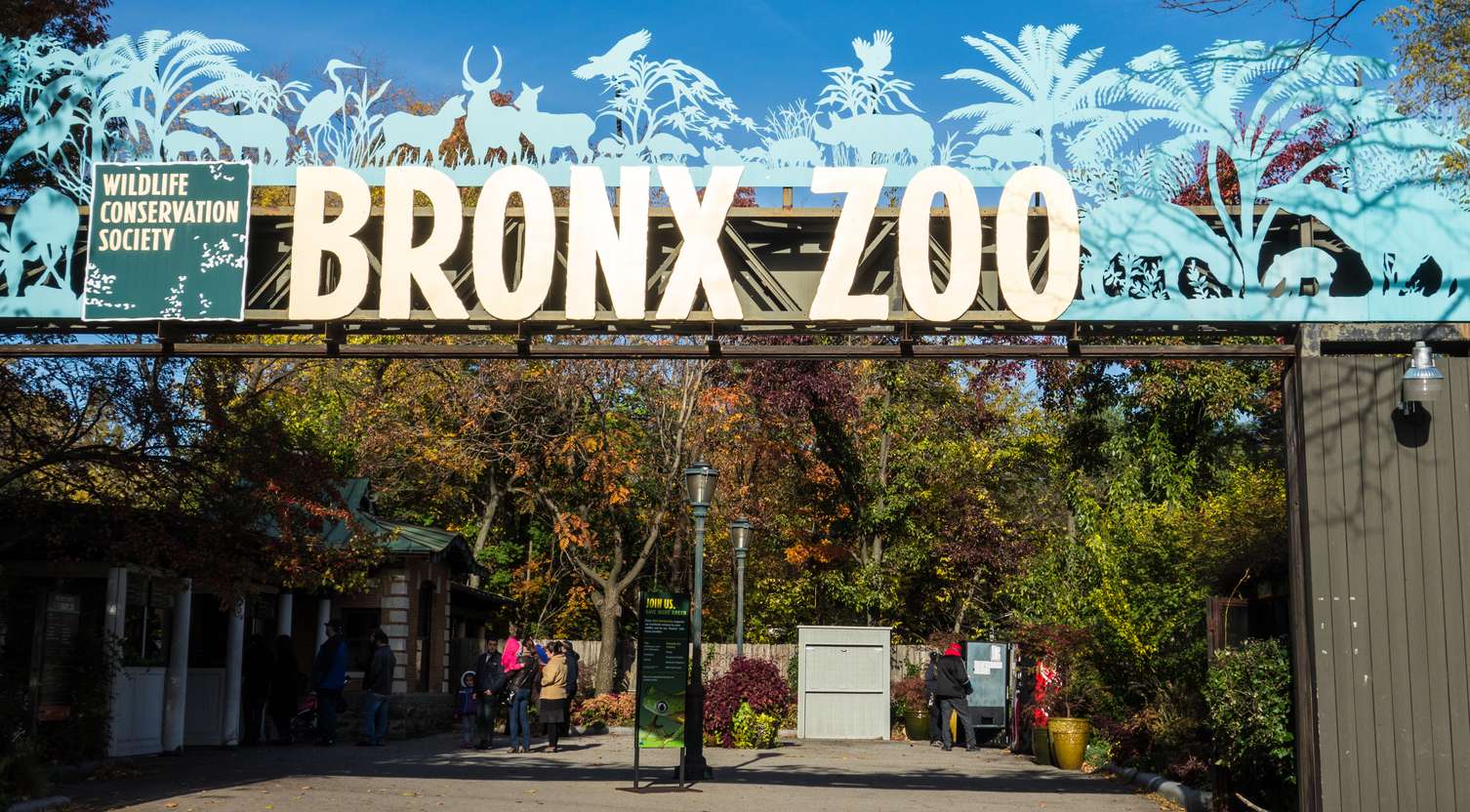 Explore the Bronx Zoo spanning 256 acres of land
