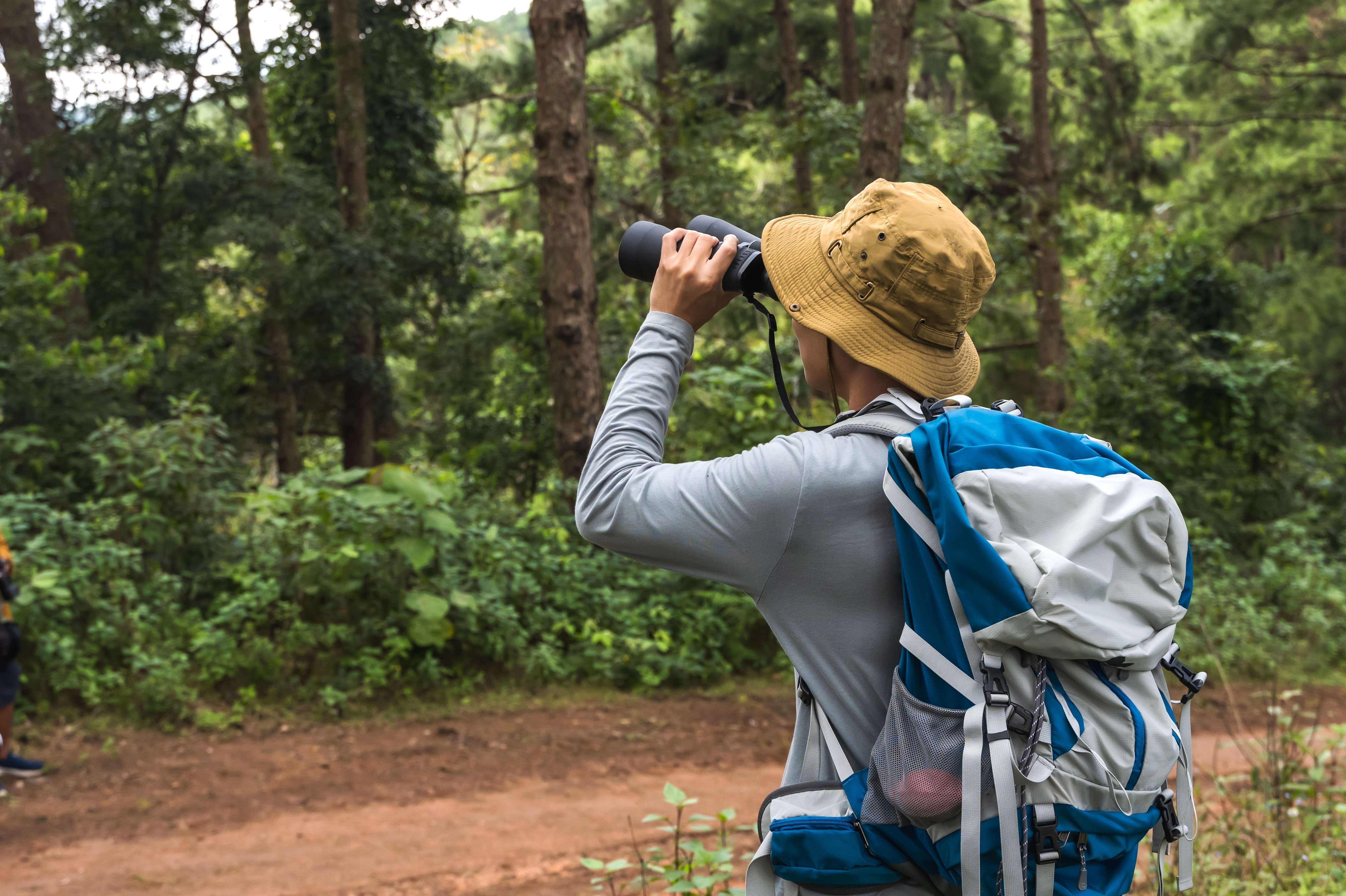 Enjoy a calming walk through nature with birds all around