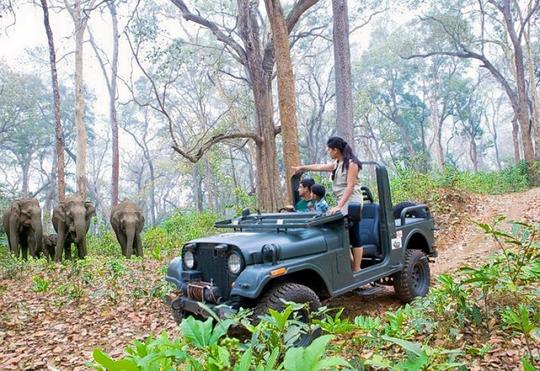 Muthanga Wildlife Safari Image